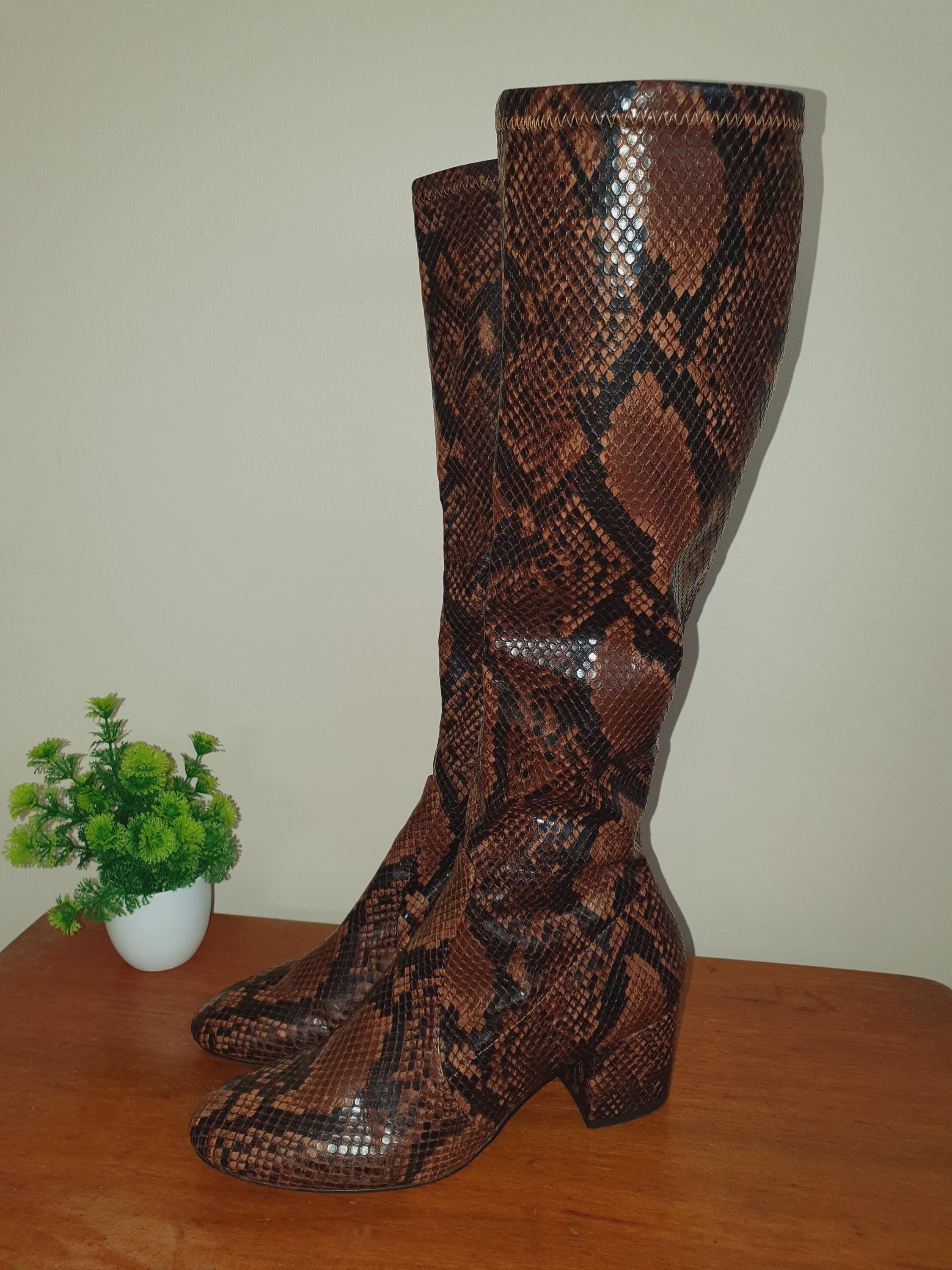 Y2k Brown Aldo Chunky Heel